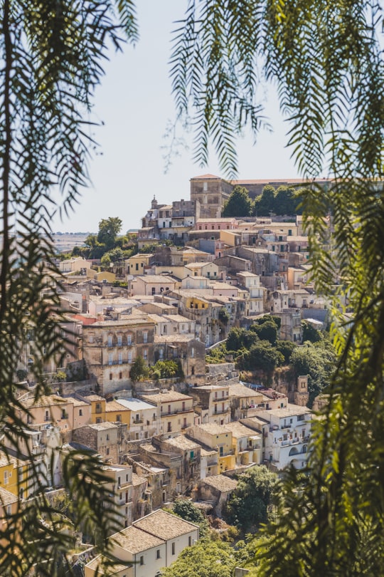 green trees near city buildings during daytime in Ragusa Italy