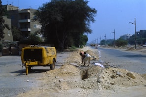 A contractor wearing a hard hat inspecting a rented backhoe at dawn.
