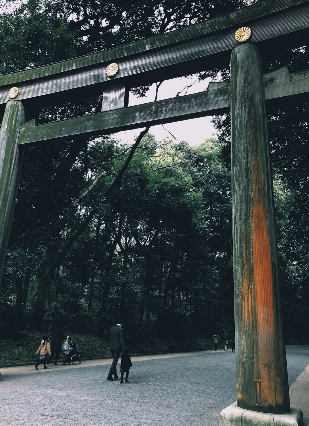 Temple photo spot Shibuya City Meiji Shrine