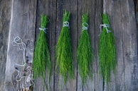 Four bundles of green herbs tied with white string are laid out on a rustic wooden surface. The wood has a weathered appearance with visible knots and grain. A thin piece of string is coiled on the left side.