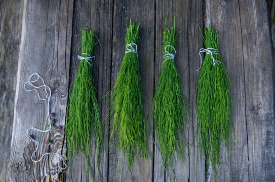 Four bundles of green herbs tied with white string are laid out on a rustic wooden surface. The wood has a weathered appearance with visible knots and grain. A thin piece of string is coiled on the left side.