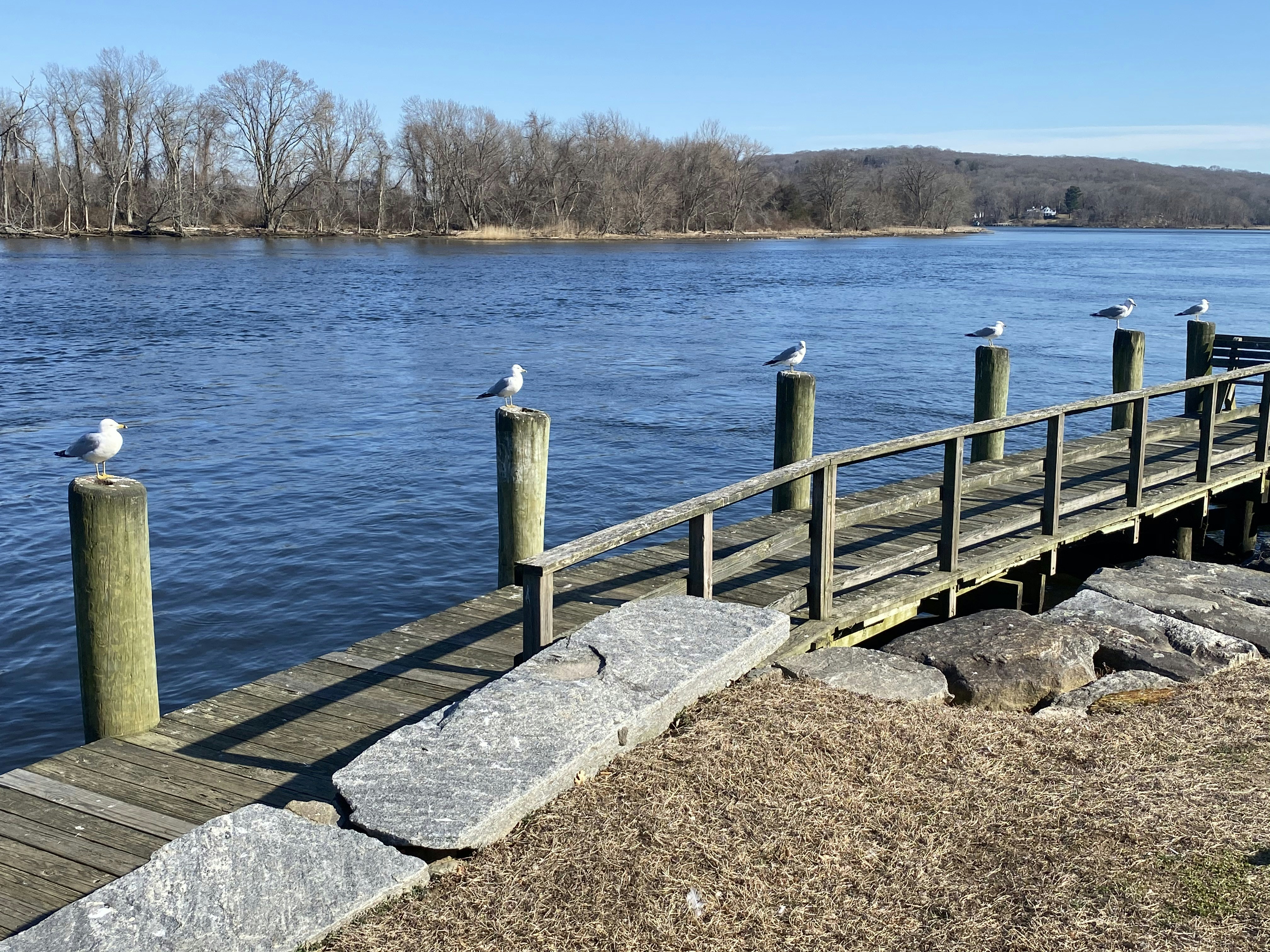 brown wooden dock on body of water during daytime