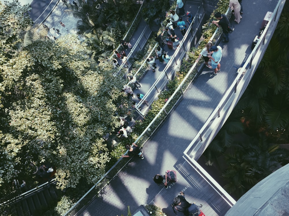 people walking on street during daytime