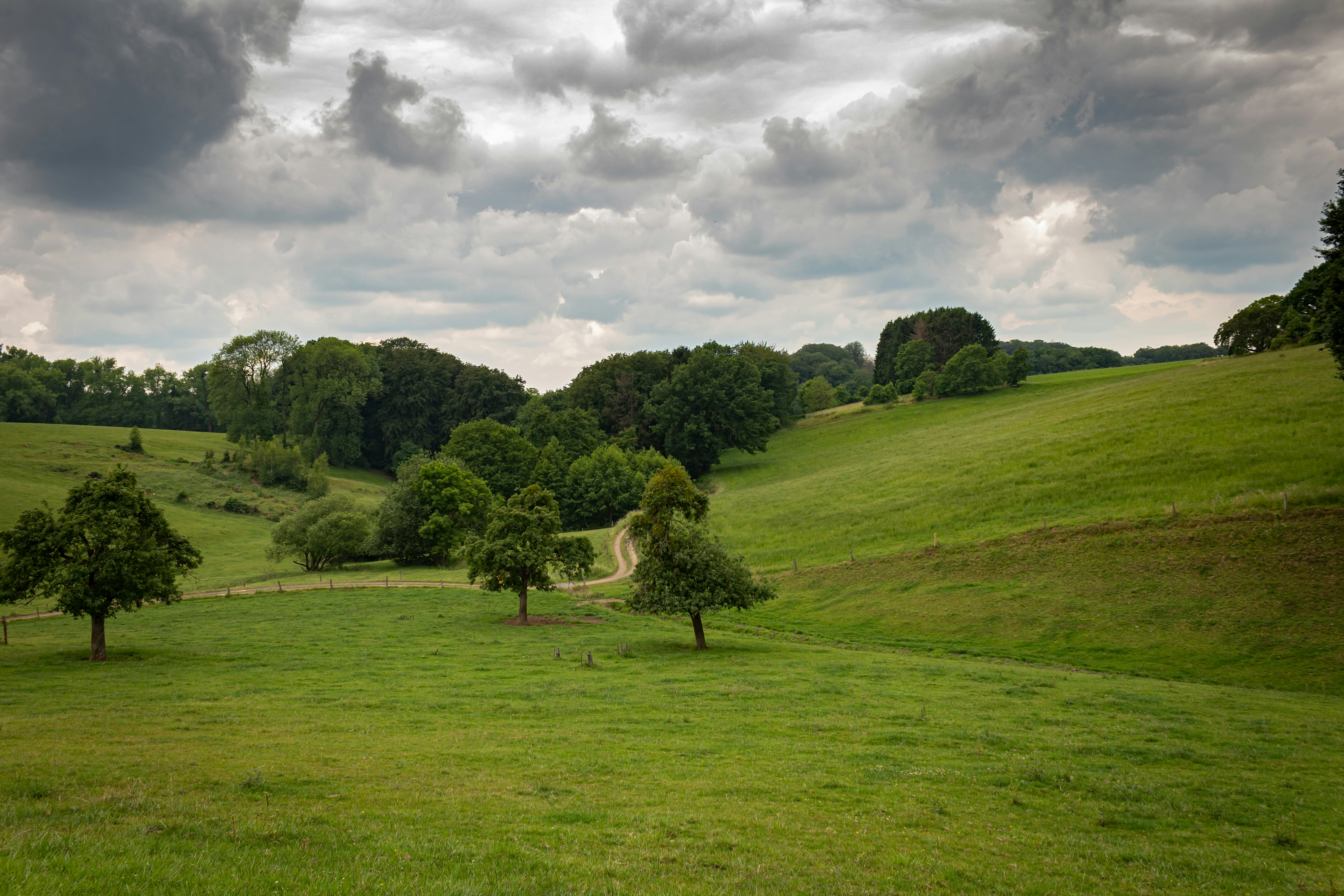 Dogs Head, Bishops Stortford