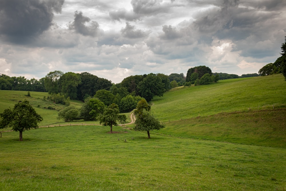 campo di erba verde sotto il cielo nuvoloso durante il giorno