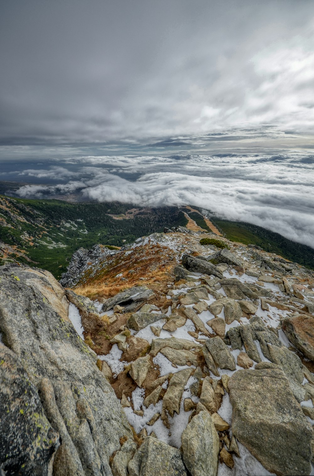 gray and green rocky shore under white cloudy sky during daytime