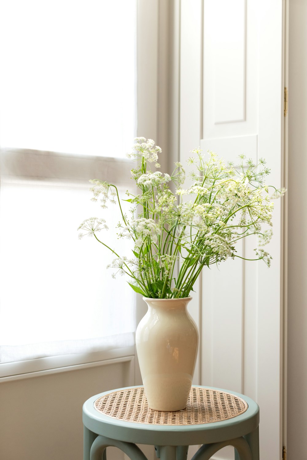 white flowers in white ceramic vase