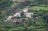 Best Vegetarian and Vegan Places in Diglipur Worth Visiting