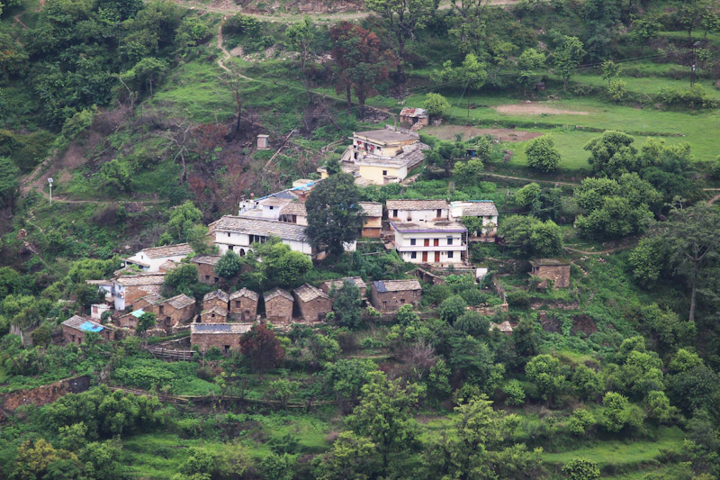 Best Vegetarian and Vegan Places in Diglipur Worth Visiting