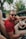 man in red crew neck shirt wearing black sunglasses sitting on driver seat