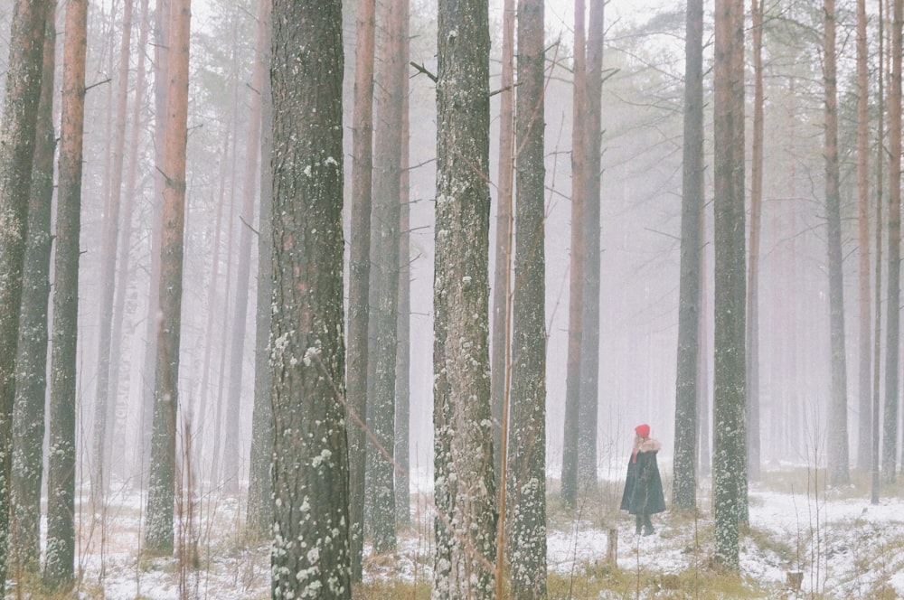 person in black jacket standing on snow covered ground in forest during daytime