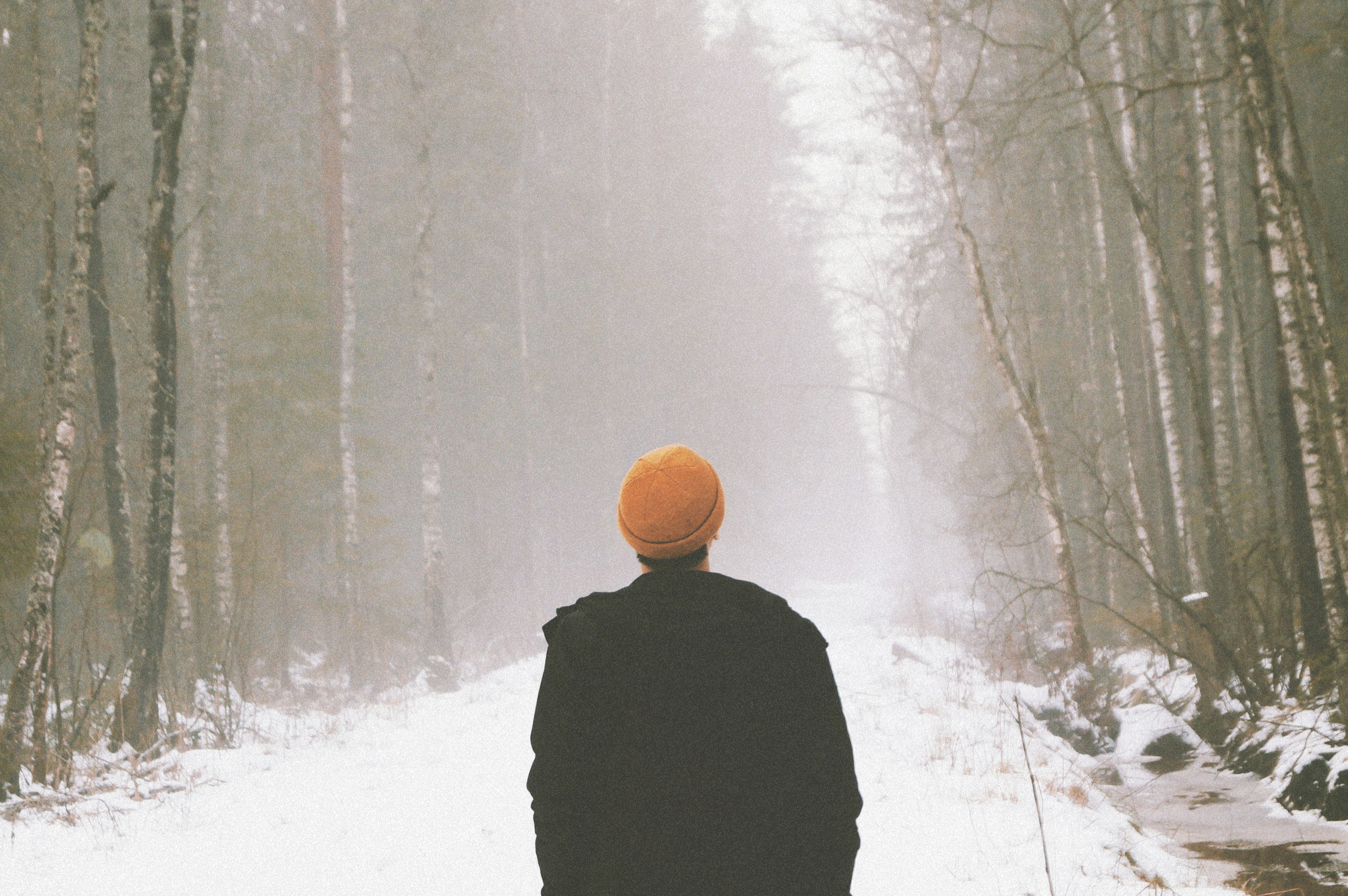 Photo by osintsova