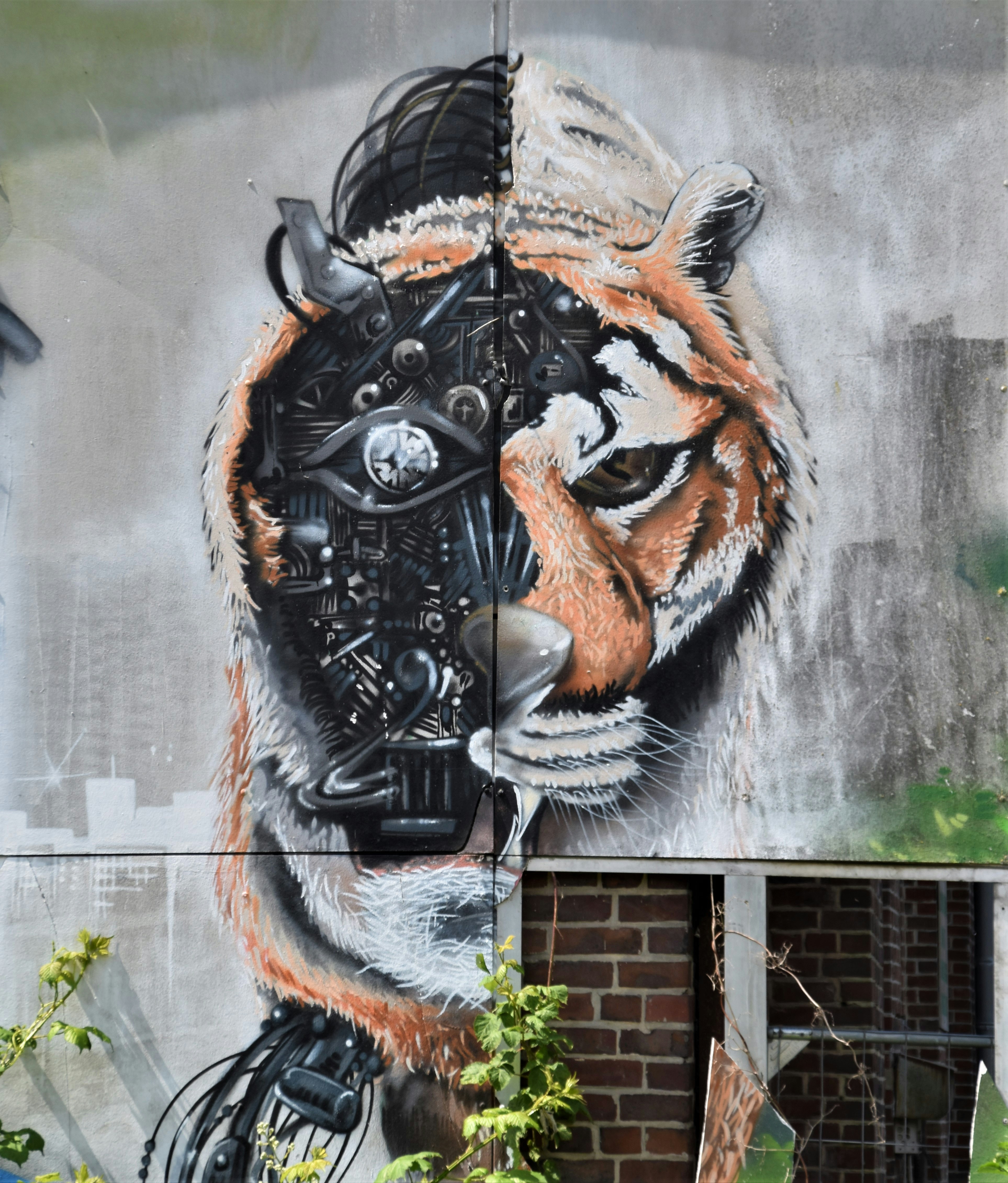 Black And Brown Tiger Wall Art Photo Free Art Image On Unsplash
