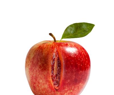 red apple with white background sensual teams background