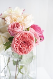 pink and white roses in white vase