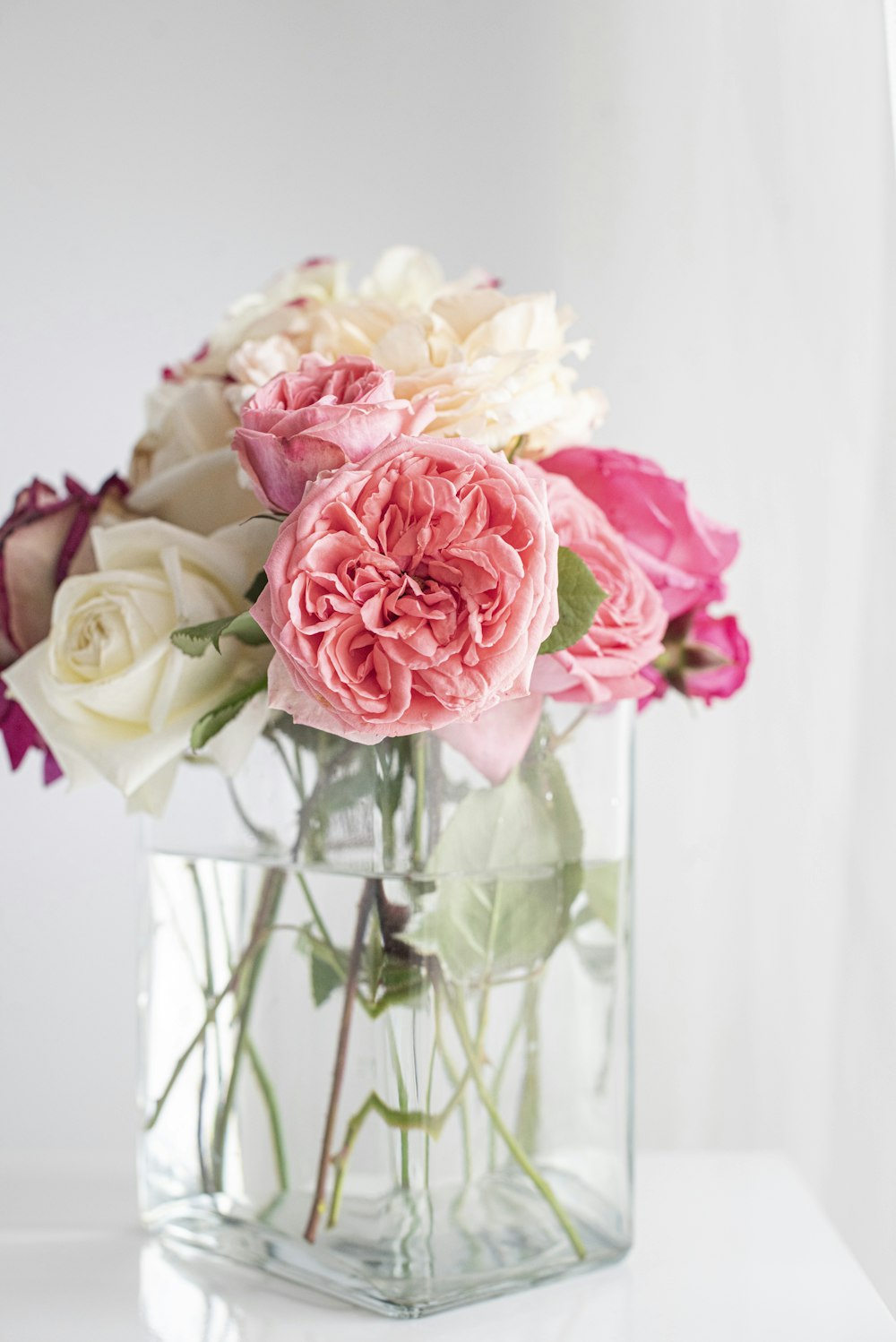 pink roses in clear glass vase