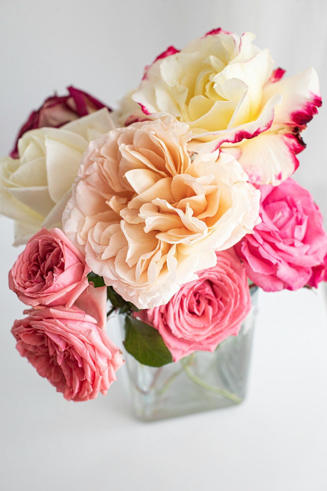 pink and white roses in white vase