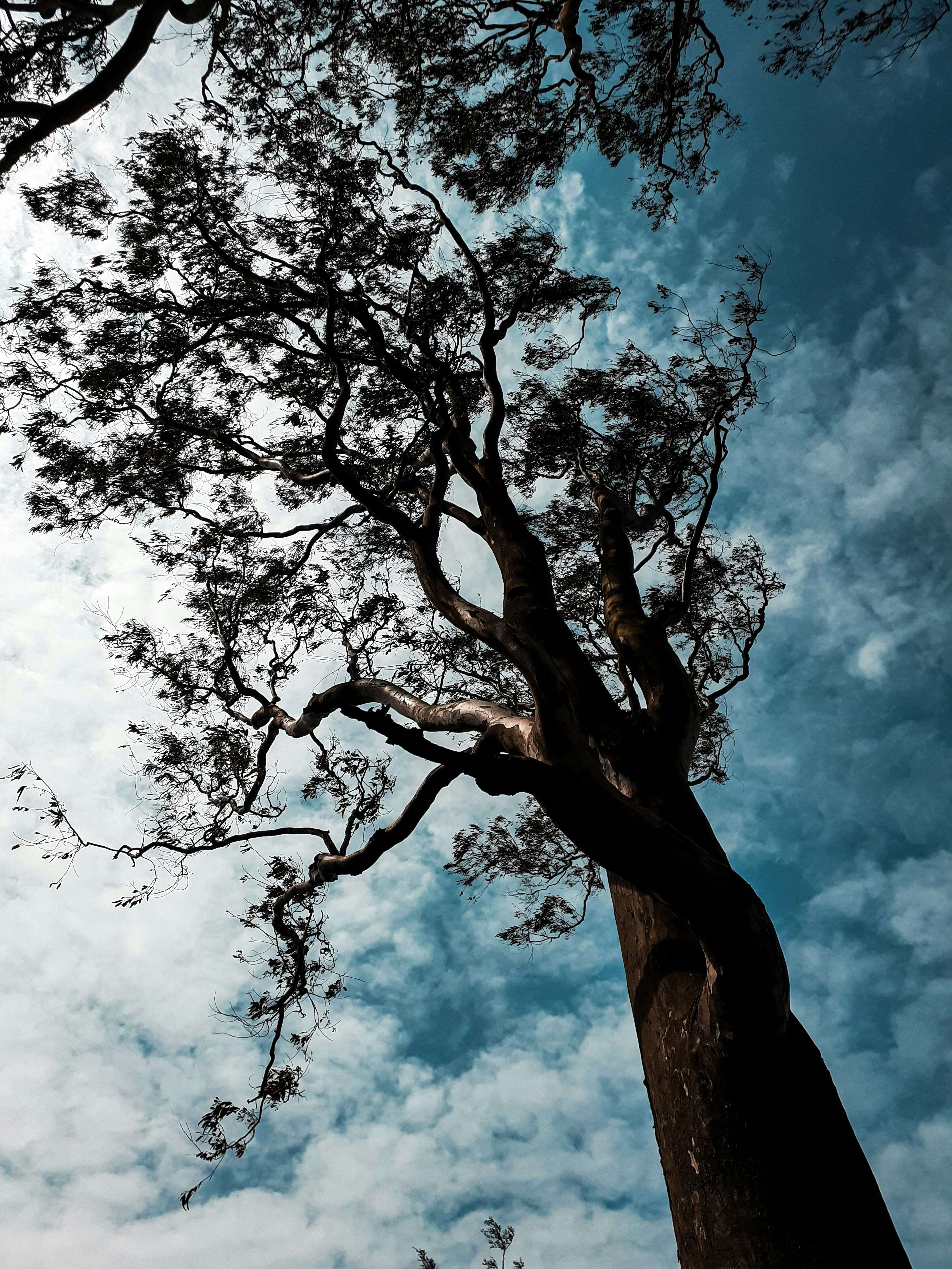 Photo by profound_pupil