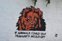 brown lion head wall decor