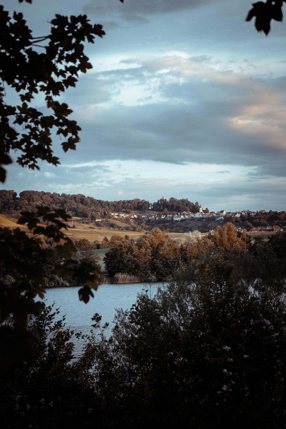 green trees near lake under cloudy sky during daytime