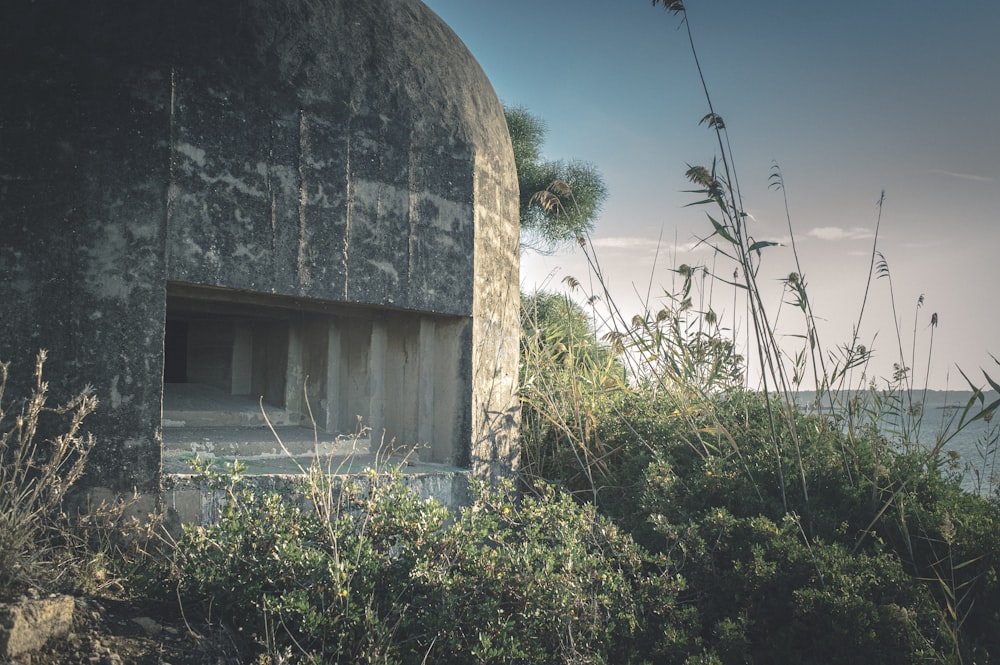 green plants beside brown concrete building during daytime