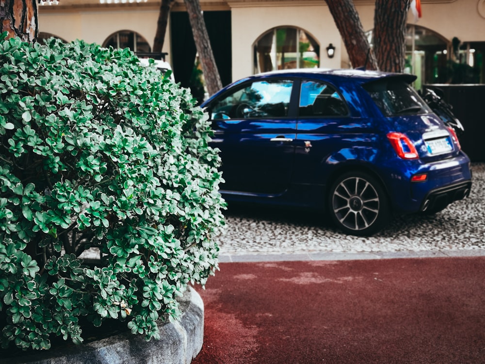 blue sedan parked near green tree during daytime