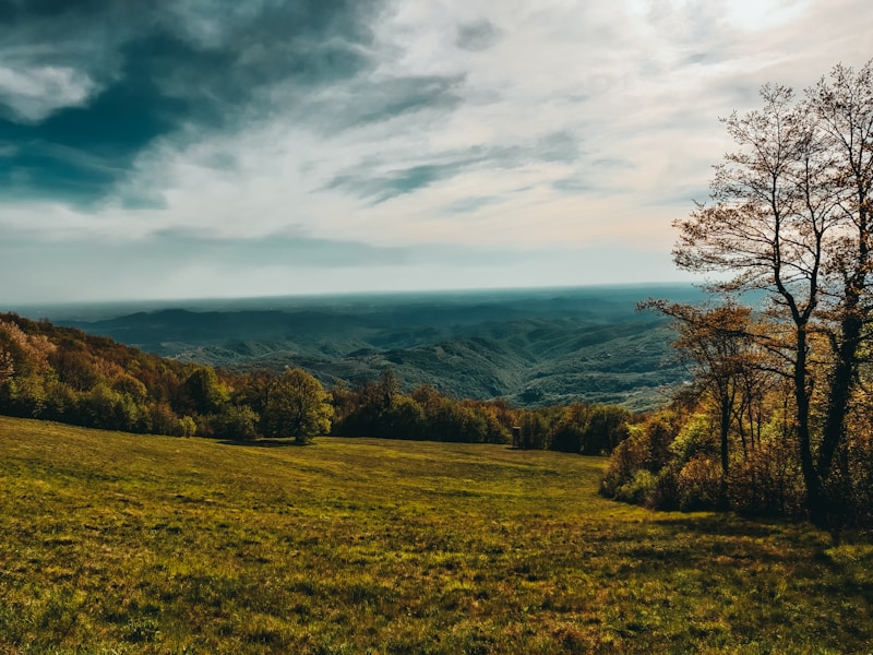 Vrhovlje pri Kojskem