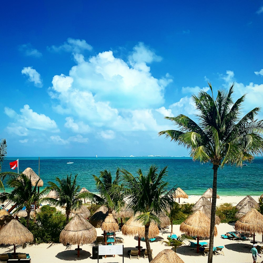 brown and white beach lounge chairs on beach shore during daytime