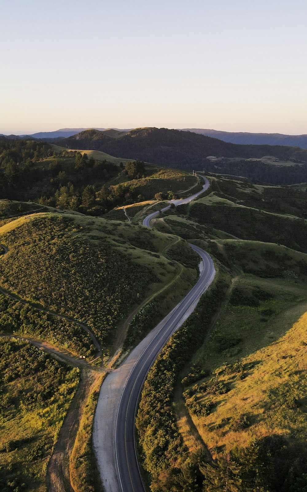 Veduta aerea degli alberi verdi e della strada durante il giorno