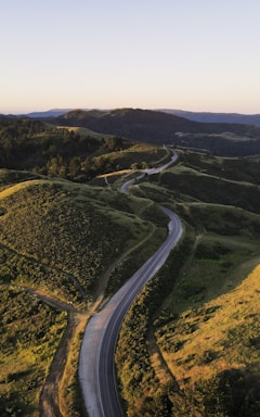 leading lines for photo composition,how to photograph aerial view of green trees and road during daytime