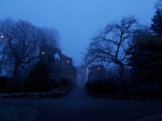 A dark, atmospheric setting from a souls-like game.