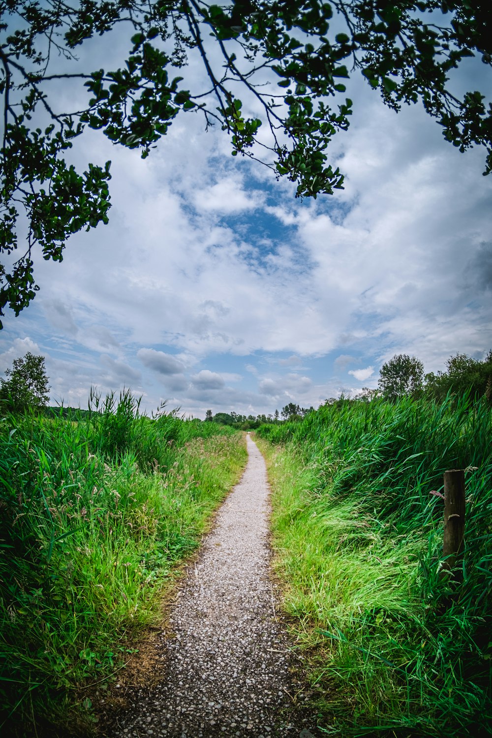 pathway between green grass under cloudy sky during daytime
