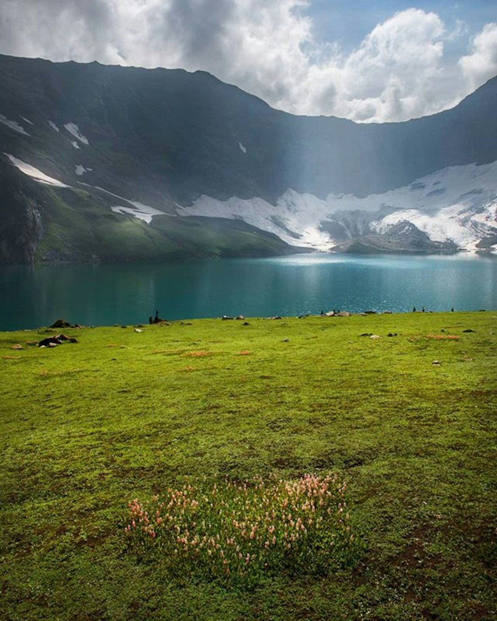 green grass field near lake and mountains during daytime