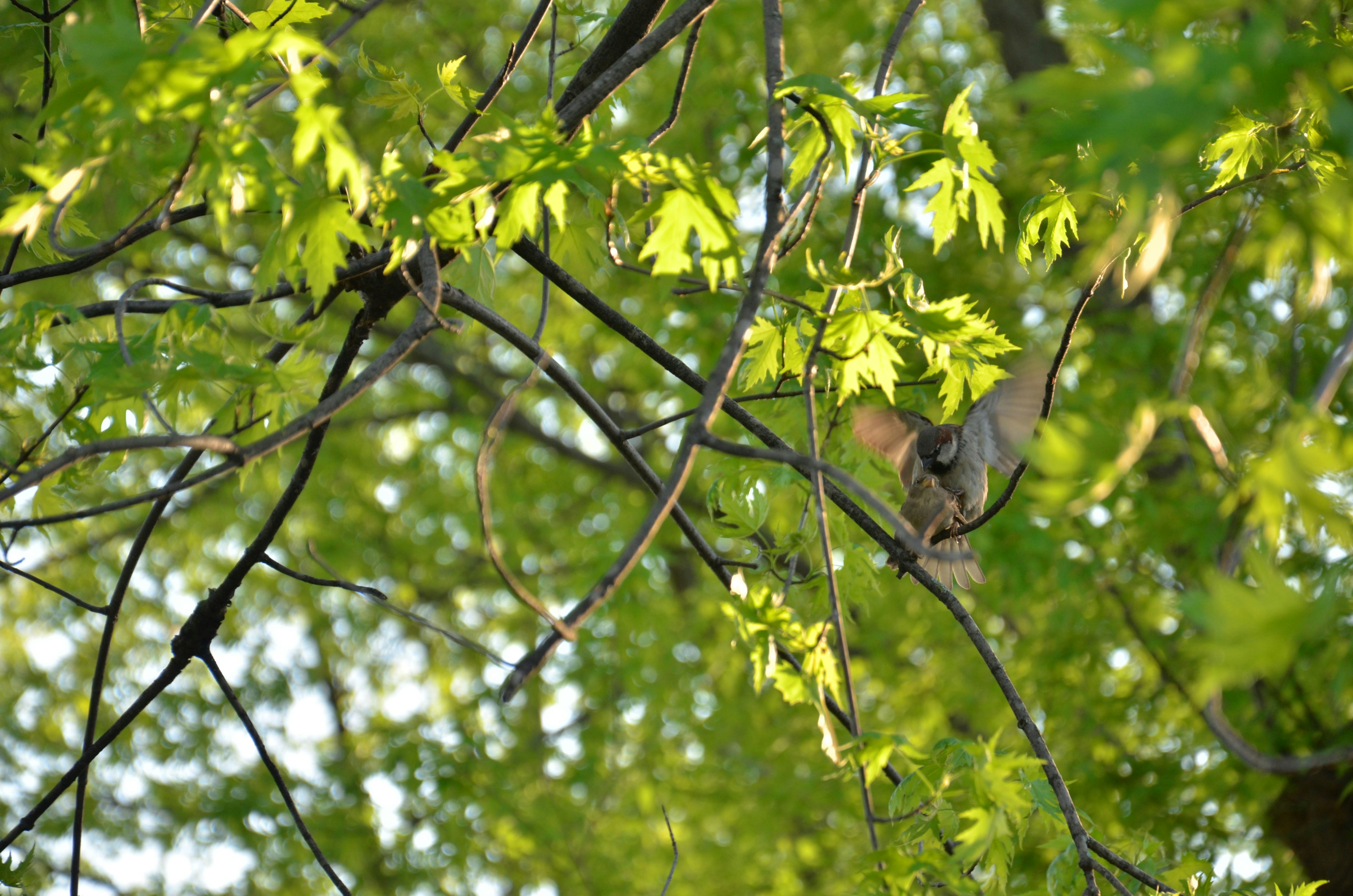 Photo by simongatdula