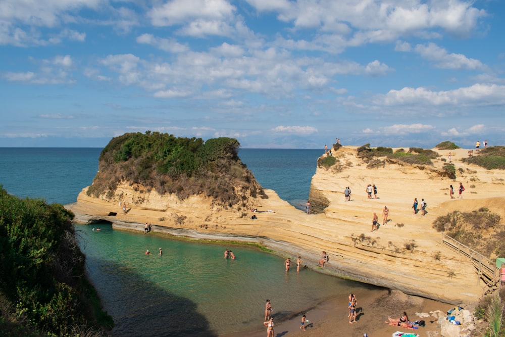 people on beach during daytime