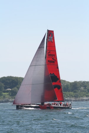 A sleek racing sailboat with a large red sail, featuring logos and designs, glides through the water. The background shows a distant shoreline with trees under a clear blue sky.