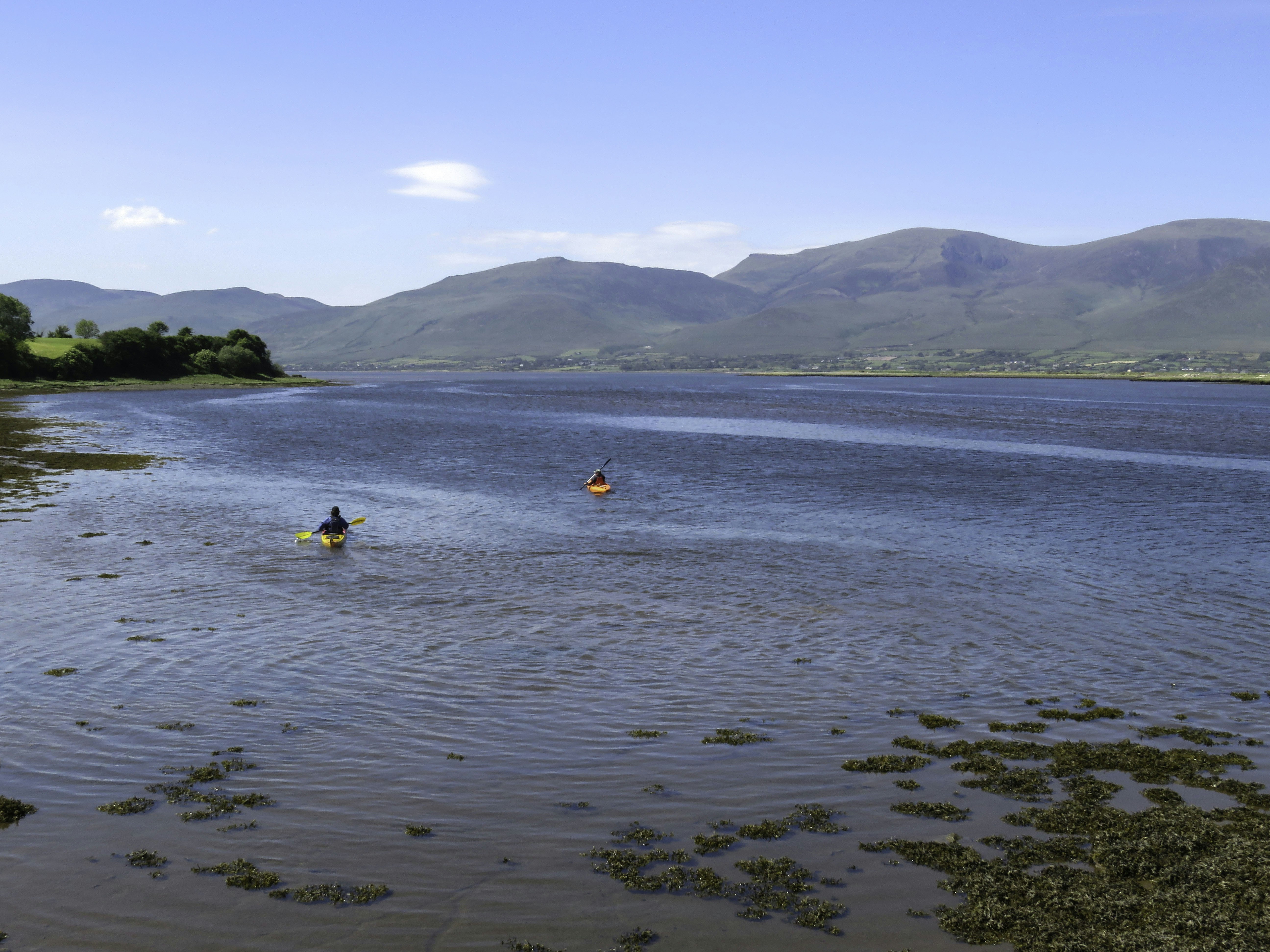 Photo by mark_lawson