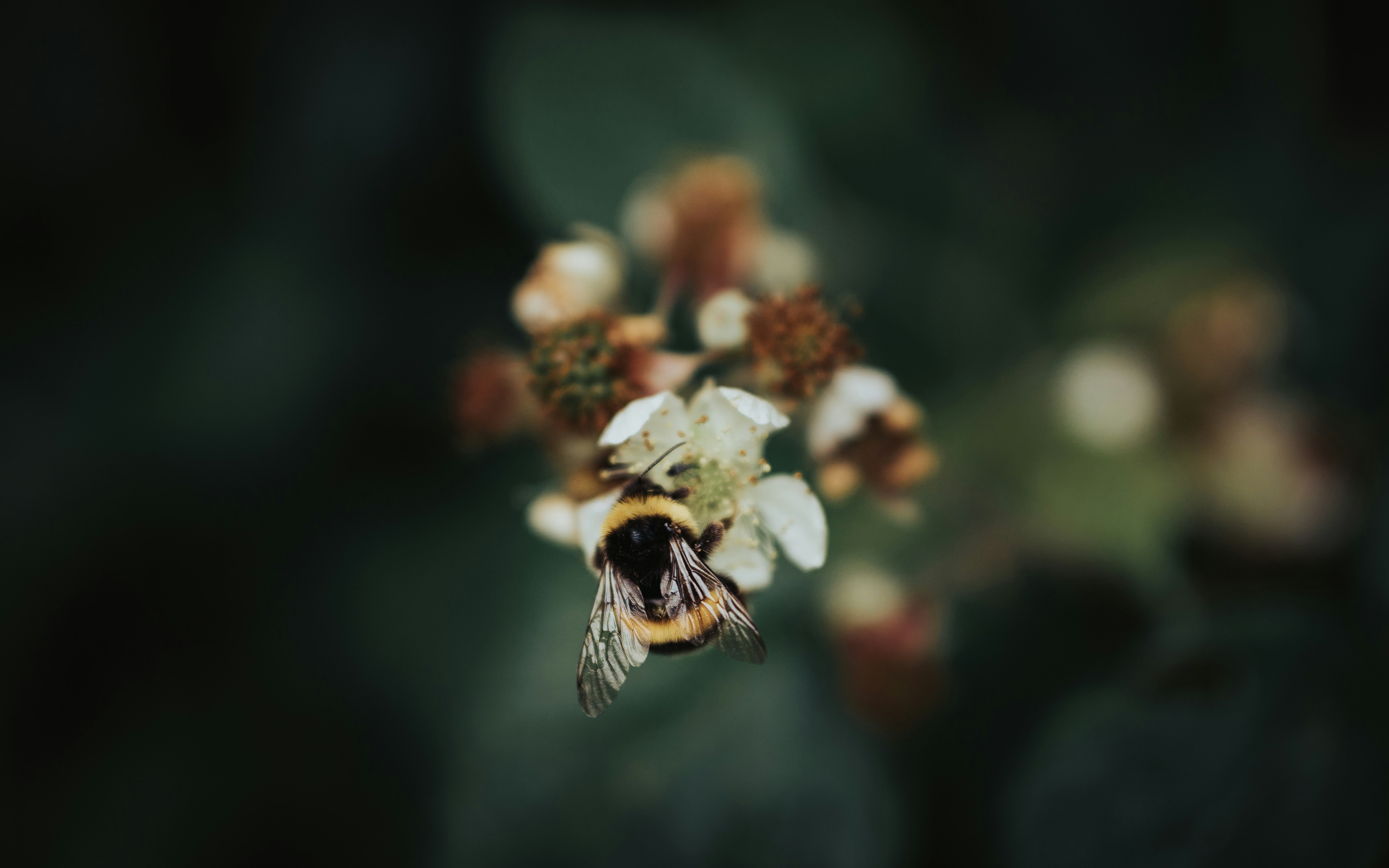 Photo by bramgx