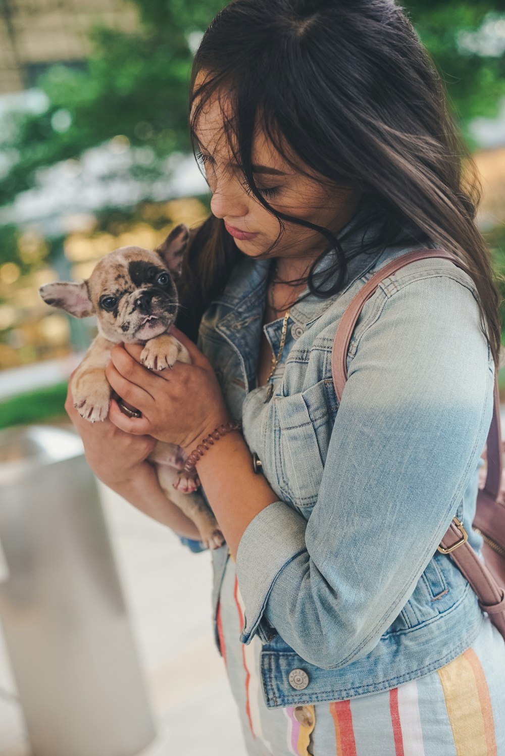 woman in blue denim jacket holding brown and black short coated puppy