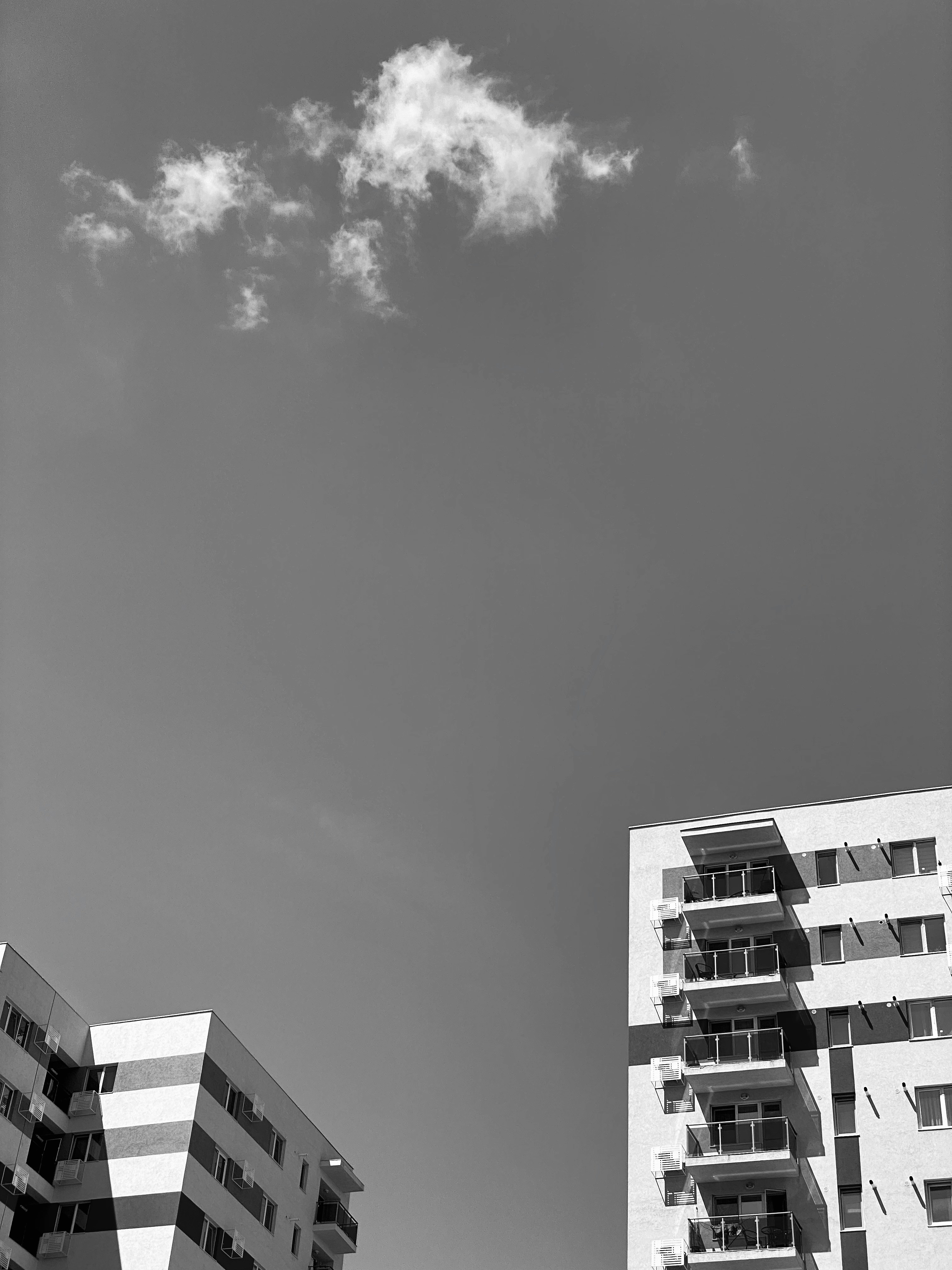 Photo by sarurobert1