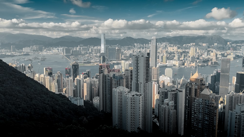 aerial view of city buildings during daytime