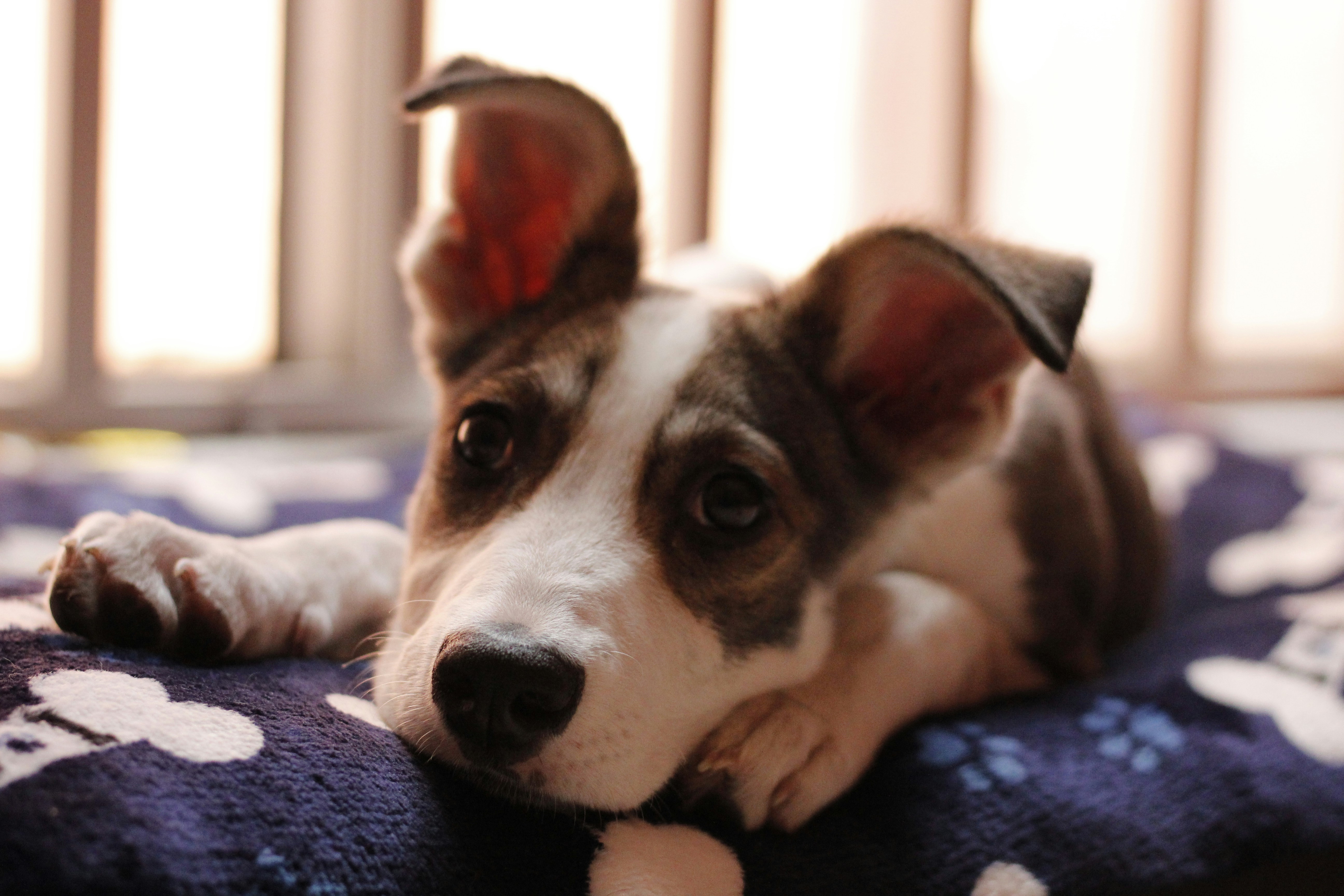 Photo by perenganita_mtez