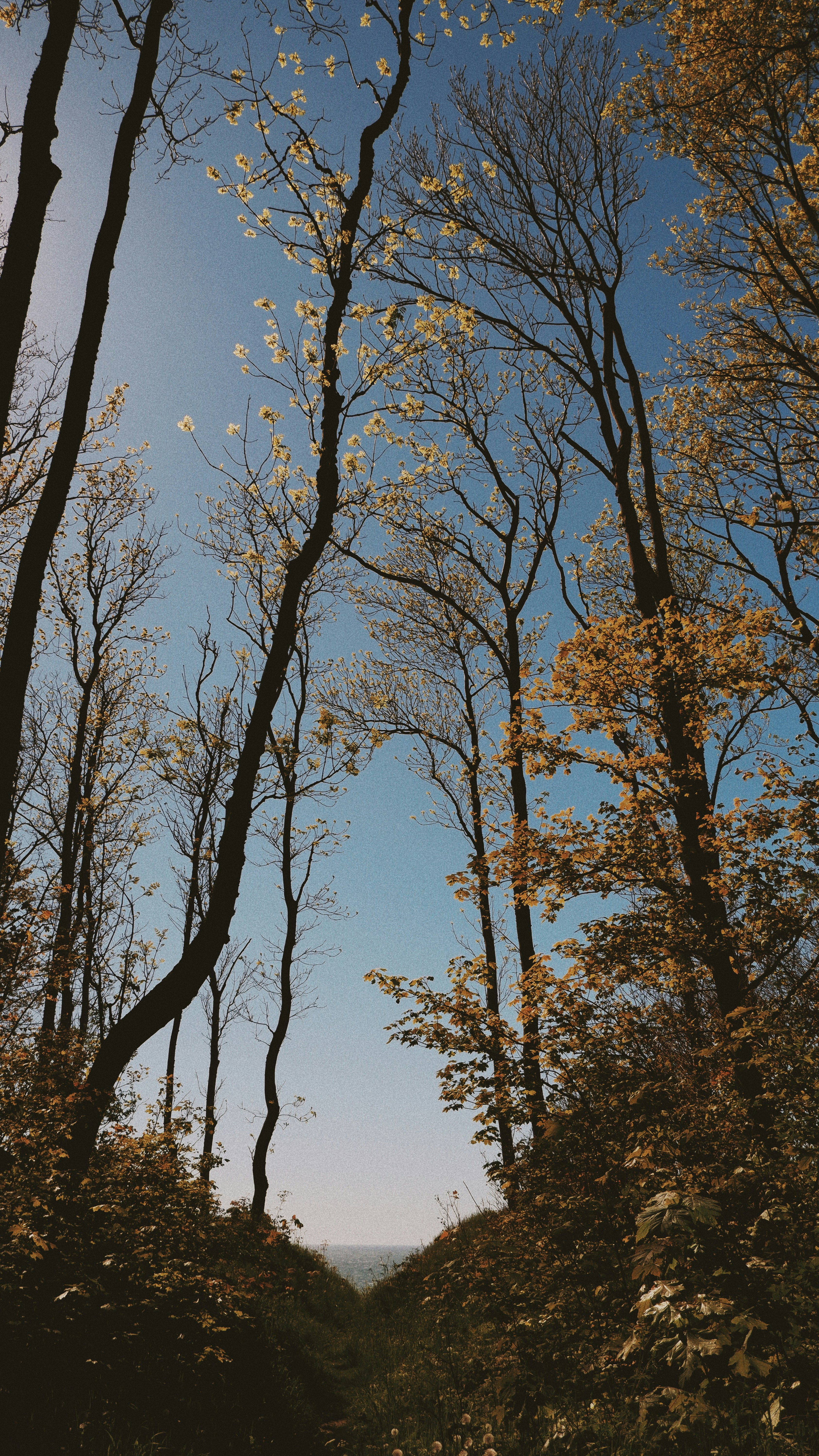 Photo by etonepravda