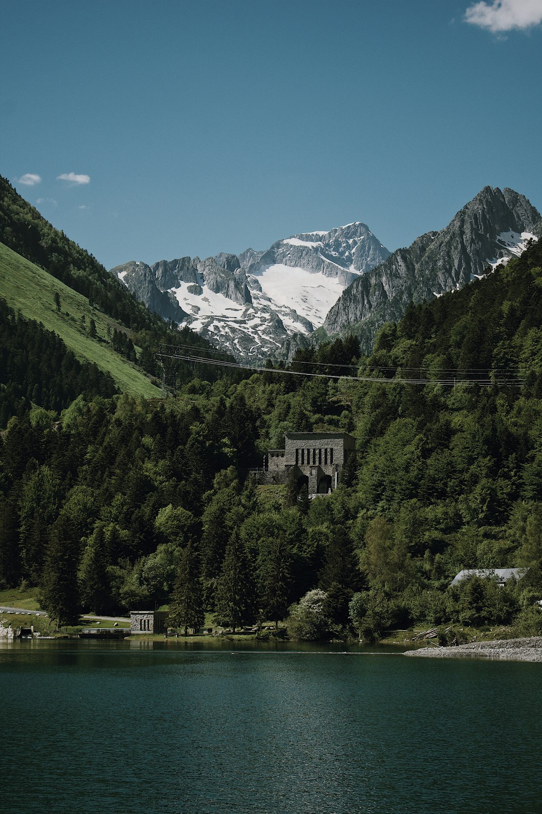 green trees near body of water and mountain during daytime