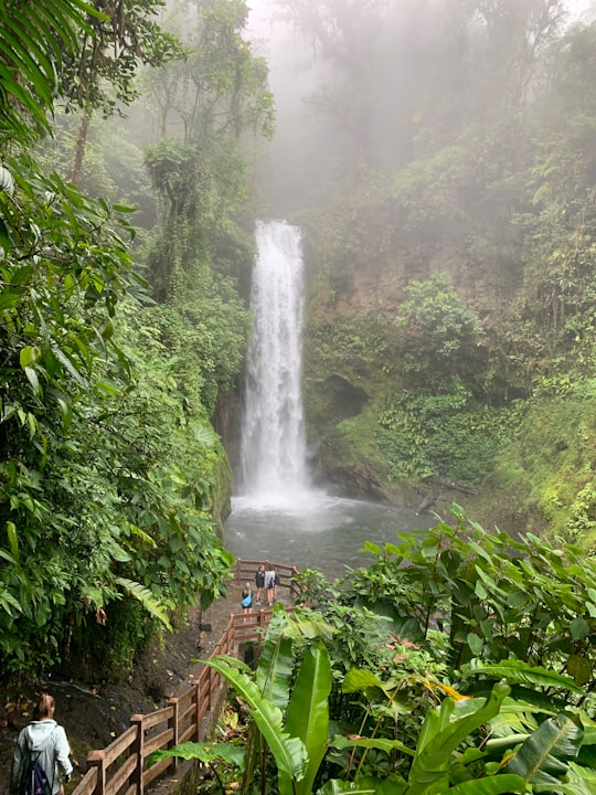 La Paz Waterfall Gardens Nature Park things to do in Heredia