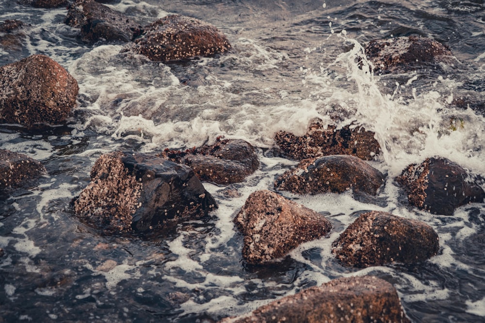 brown rock on water falls