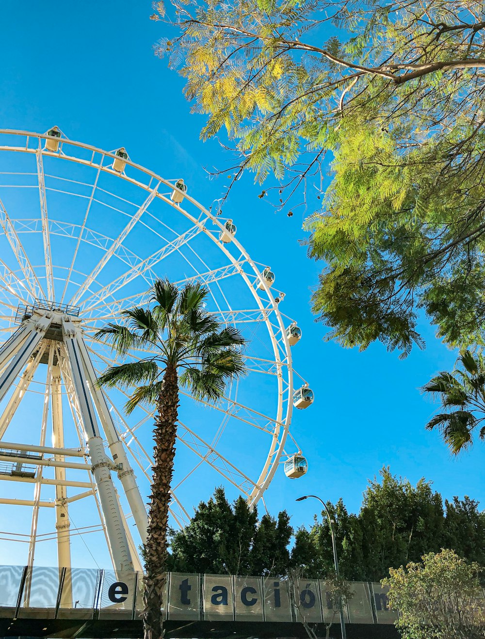 white ferris wheel under blue sky during daytime