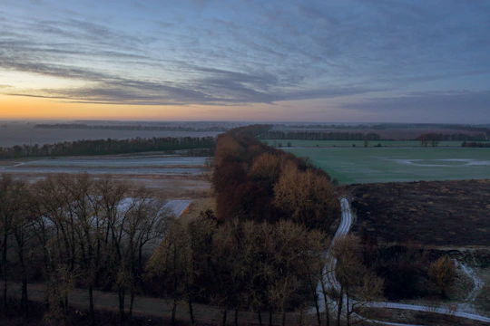 A soft sunrise over a quiet path winding through a peaceful forest.