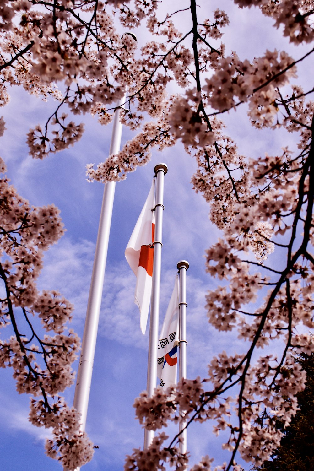 white and red flag on pole under blue sky during daytime