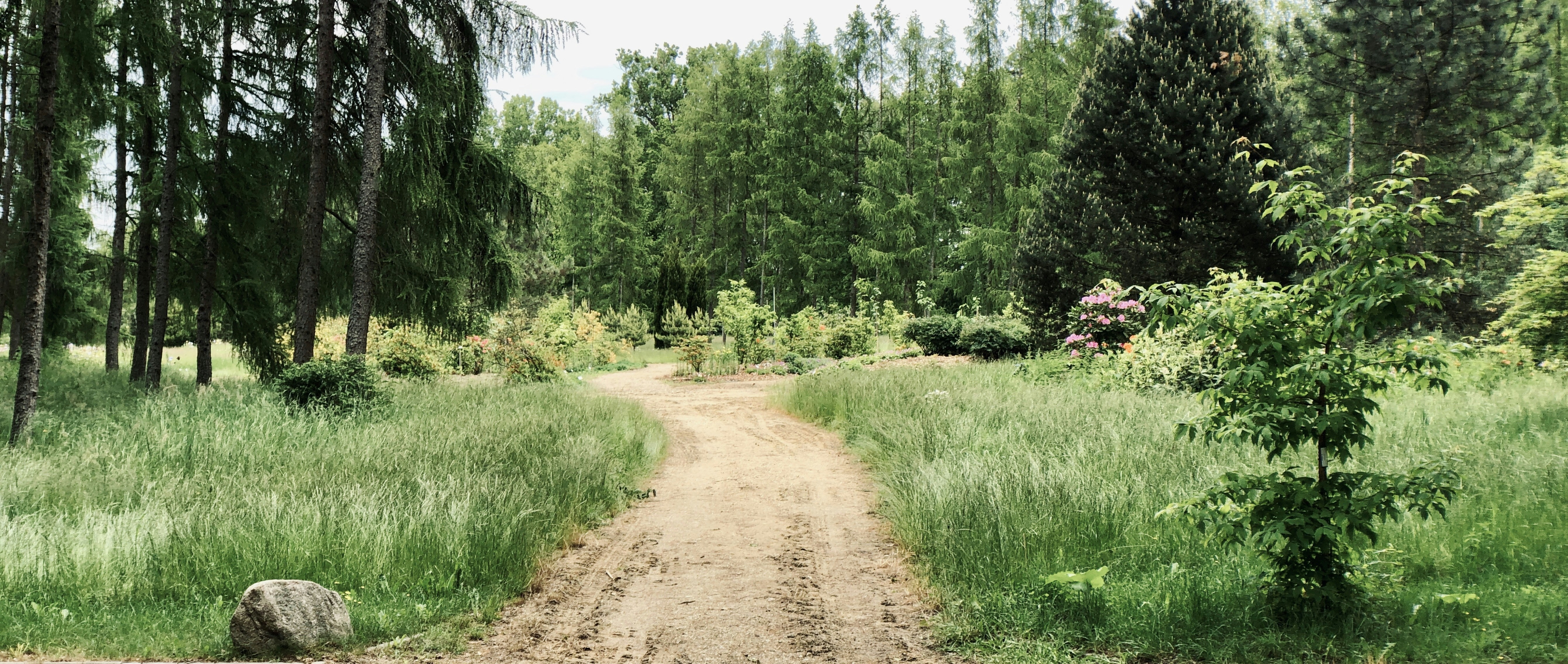 Photo by karolmajewski